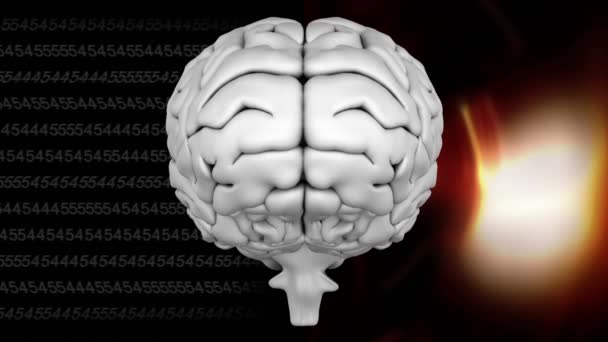 Digitally Animated Grey Brain Two Different Background Left One Composed — Stock Video