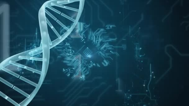 Animação Digital Dna Girando Contra Conexões Dados Circuito Elétrico Fundo — Vídeo de Stock