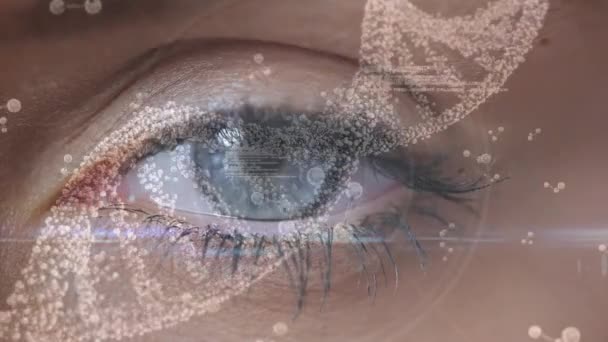 Composite numérique de la molécule spirale de l'ADN avec un fond d'oeil bleu femme 