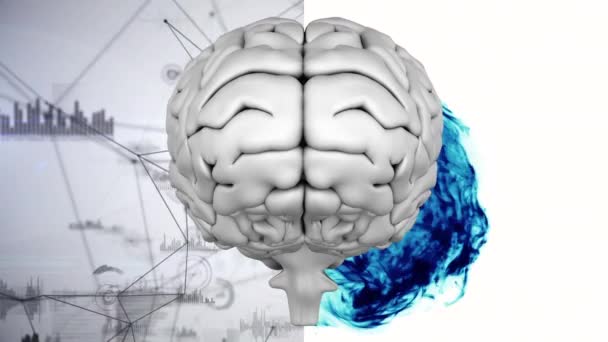 つの異なる背景を持つ白い脳のデジタル合成は 左側のデータとグラフのアニメーションで構成青煙の漏れと一緒に 回転と右サイドを接続 — ストック動画