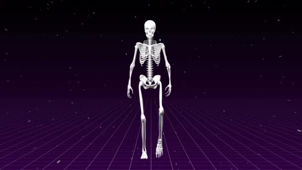 Digital Composite Human Skeleton Walking Purple Background Surrounded Stars — Stock Video