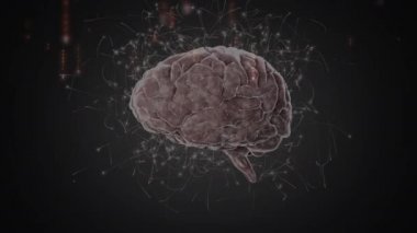 siyah arka plan kırmızı kod ekran aşağı gidiş ile karşı insan beyni 3D çizimi