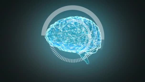 Illustrazione Del Cervello Umano Sullo Sfondo Blu — Video Stock