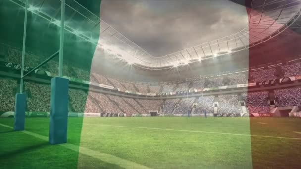 Composto Digital Estádio Cheio Fãs Com Bandeira Irlandesa Animada Acenando — Vídeo de Stock