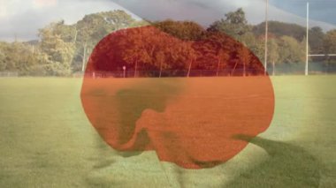 Futbol Stadyumu karşı dijital olarak oluşturulan Japonya Ulusal bayrak dijital bileşik