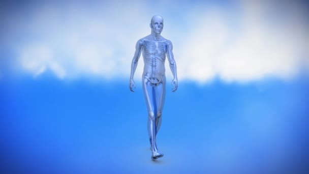 Système squelettique humain animé numériquement marchant en cercle sur fond bleu avec des nuages 