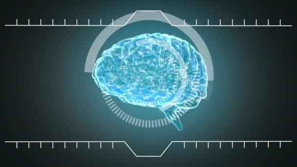 Ilustración Del Cerebro Humano Sobre Fondo Azul — Vídeo de stock