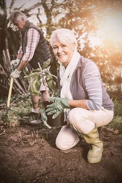 Portret Van Gelukkig Vrouwelijke Volwassen Tuinman Met Ingemaakte Plant Biologische — Stockfoto