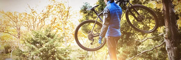 男性的山地车手携带自行车看性质在森林里 — 图库照片