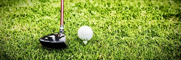Närbild Golfboll Fältet — Stockfoto