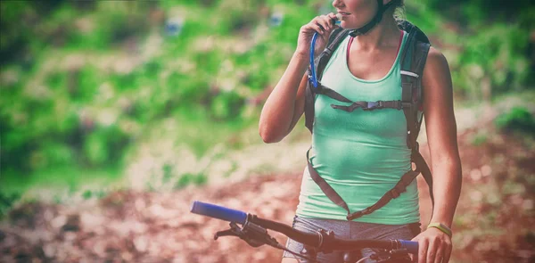 Eau Potable Sportive Féminine Provenant Pack Hydratation Forêt — Photo