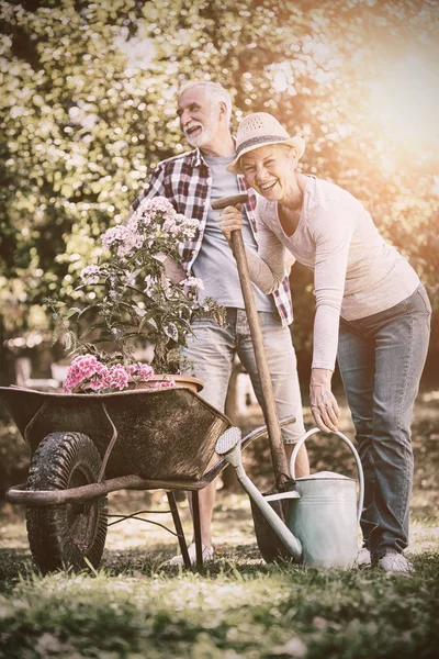 Retrato Jardinería Pareja Mayor Jardín Día Soleado —  Fotos de Stock