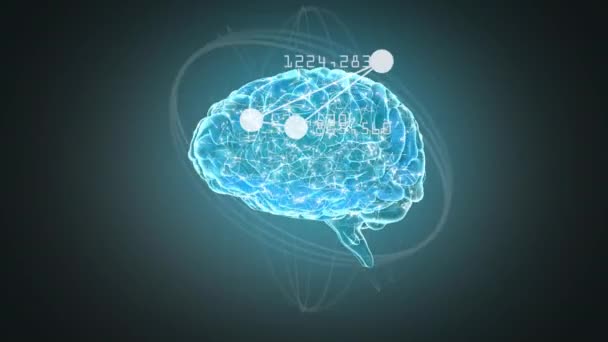 Ψηφιακός Σύνθετος Ημιδιαφανές Εγκεφάλου Περιστρεφόμενη Ενώ Κύκλοι Κινούνται Γύρω Από — Αρχείο Βίντεο
