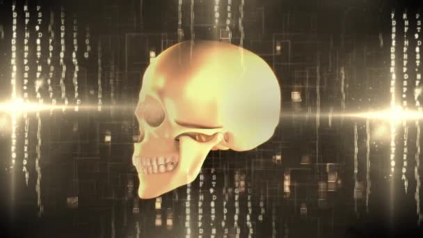 Animation numérique d'un crâne humain rotatif avec des codes de lettre et des effets de lumière sur fond sombre 