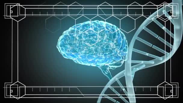 Composite Numérique Adn Cerveau Translucide Tournant Pendant Que Fenêtre Numérique — Video