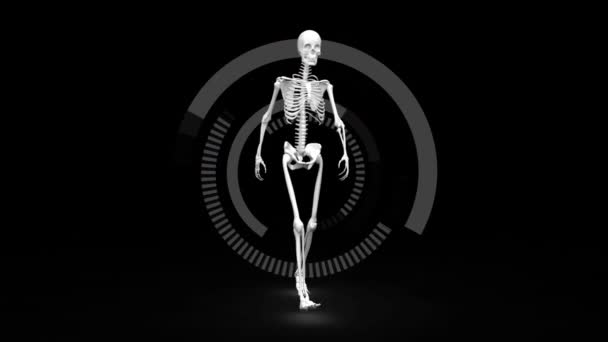 Digital Animation Skeleton Walking Dark Background Digital Circles Rotating — Stock Video