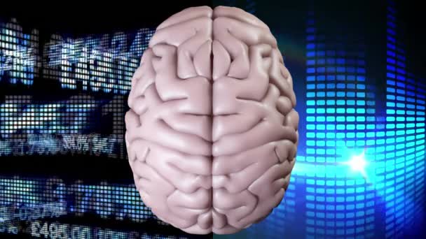 Cerebro Rosa Digitalmente Animado Con Dos Fondos Diferentes Izquierdo Compuesto — Vídeos de Stock
