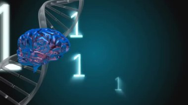İplik Dna sarmalı ve ikili kodları ücretsiz mavi zemin üzerine düşen içinde çevrili bir beyin dijital bileşik