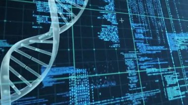 Dna ikili kodları ve arka plan kılavuzda karşı döner dijital bileşik.