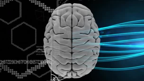 灰色数字大脑的数字动画 左侧为六边形 右侧为蓝色照明射线 背景为黑色背景 — 图库视频影像