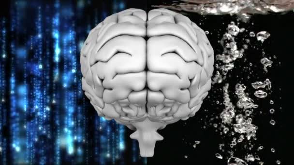 Digital Composite Close Brain Data Background Left Drops Water Right — Stock Video
