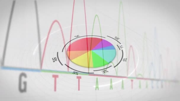 Composto Digital Gráfico Torta Tridimensional Crescendo Girar Gráfico Colorido Movendo — Vídeo de Stock