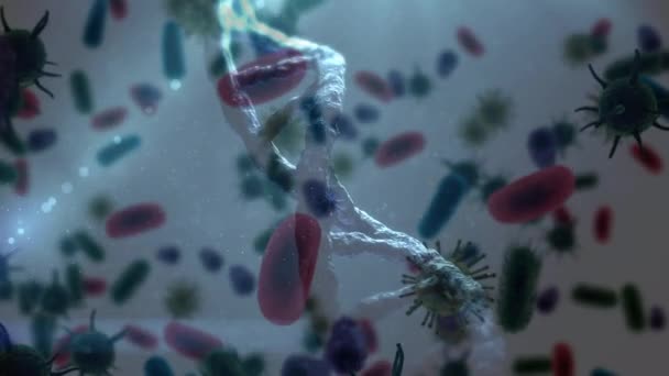 Digitale Animation Der Sich Drehenden Dna Helix Umgeben Von Virus — Stockvideo