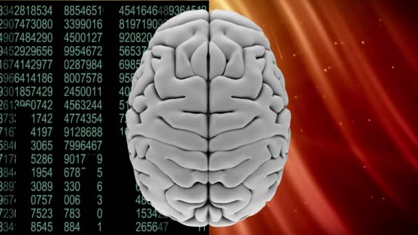 Animado Digitalmente Cerebro Gris Con Dos Fondos Diferentes Izquierdo Compuesto — Vídeos de Stock