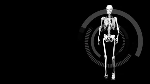 Digitálně Animovaný Lidské Kostry Chůzi Černém Pozadí Bílé Radiance — Stock video