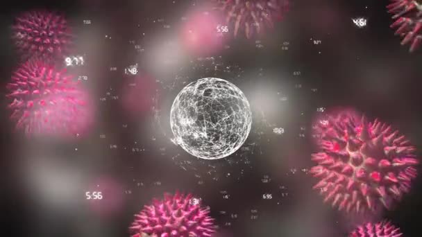 Cyfrowej Animacji Przędzenia Glob Otoczony Połączenia Danych Różowy Bakterii Wolna — Wideo stockowe