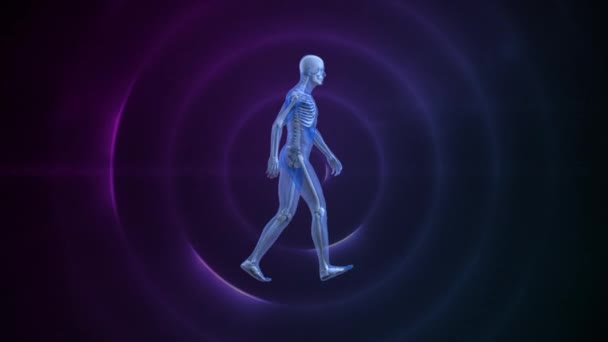 Digital Composite Human Prototype Walking Blinking Purple Circle Black Background — Stock Video