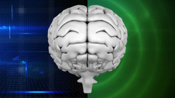 Digitally Animated Grey Brain Two Different Background Left One Composed — Stock Video