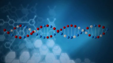 Mavi arka planda beyaz altıgenler karşı iplik DNA Helix kırmızı, mavi ve beyaz molekül dijital animasyon