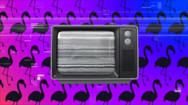Bir eski Tv anahtarı üzerinde bir top ile Önden Görünüm karşı arka planda pembe flamingolar ekranda