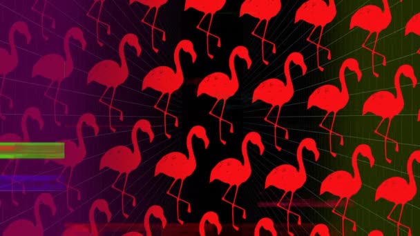 Digital Animation Colorful Scrambled Effect Pink Flamingos Dark Background — Stock Video