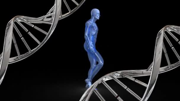 Digitally Generated Human Anatomy Walking While Dna Strands Rotates Side — Stock Video