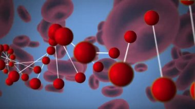 Çift sarilik dna dönerken akan kırmızı kan hücrelerinin dijital bileşimi