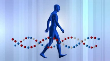 Dna çift sarkaç dönen yürüyen dijital olarak üretilen insan modeli