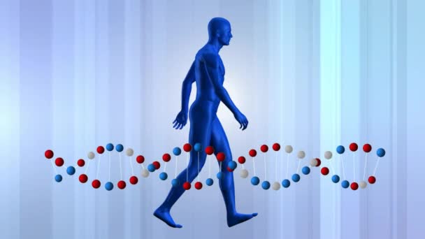 Digitalt Genererade Mänsklig Modell Walking Med Dna Double Helix Roterande — Stockvideo