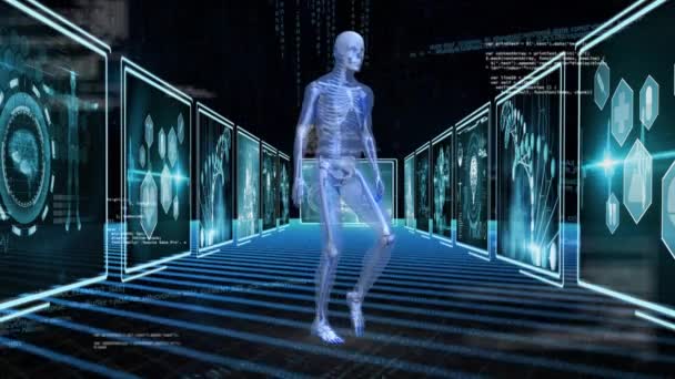 Digital Erzeugte Menschliche Anatomie Beim Herumlaufen Hintergrund Zeigt Bildschirm Mit — Stockvideo