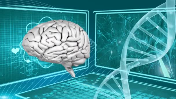 Cerebro Humano Generado Digitalmente Adn Doble Hélice Rotan Fondo Muestra — Vídeos de Stock