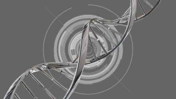 数字生成的双螺旋Dna在中间旋转 圆形数字齿轮缩放背景 — 图库视频影像