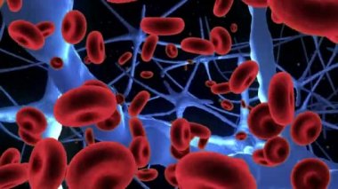 Arterlerle akan kırmızı kan hücrelerinin dijital bileşimi