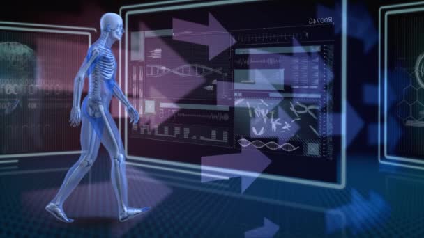 数字生成的人体解剖行走 而箭头从左移动到写 背景显示带有医疗信息的屏幕 — 图库视频影像