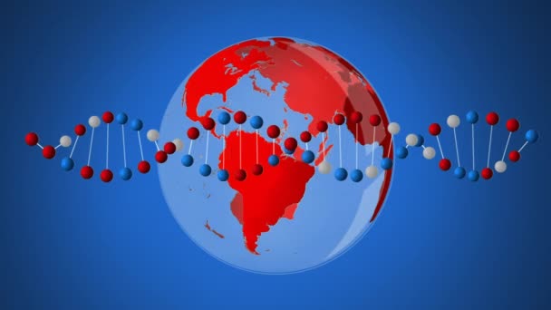 Digitally Generated Red Globe Rotating Double Helix Dna Strand Blue — Stock Video
