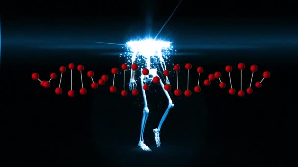 Днк Подвійної Спіралі Обертається Цифровому Форматі Коли Модель Людського Тіла — стокове відео