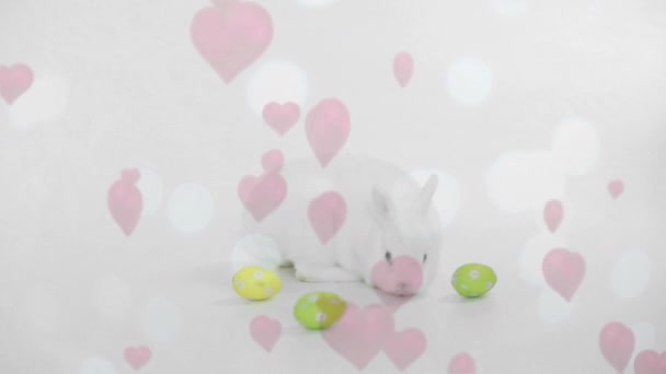 Цифровая Композиция Бокового Вида Пасхального Кролика Играющего Пасхальными Яйцами Время — стоковое видео