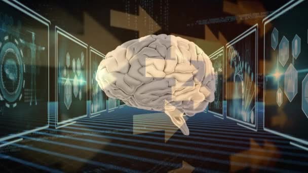 Cerebro Humano Generado Digitalmente Gira Mientras Las Flechas Mueven Través — Vídeo de stock