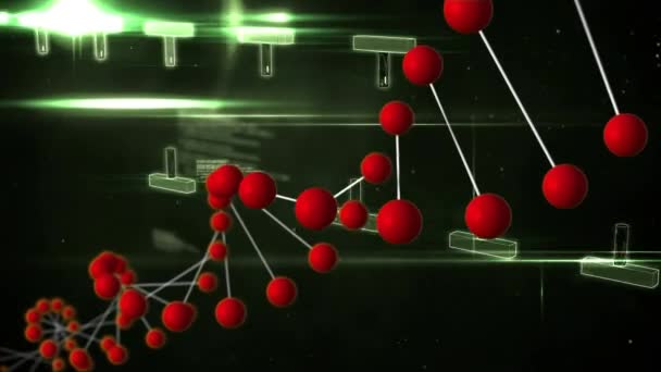 Cyfrowo Generowany Obrotowy Model Podwójnej Helisy Dna Pasującymi Nukleotydami — Wideo stockowe