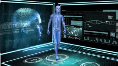 İnsan anatomisinin dijital bileşimi. Ekranların arkasındaki bilgiler